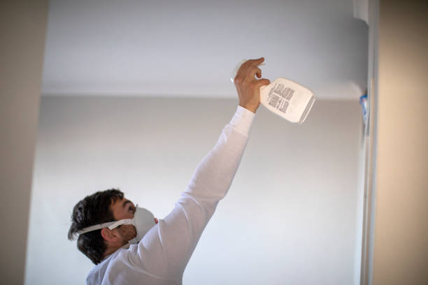 Best Local Mold Removal Service  in Rockford, IL