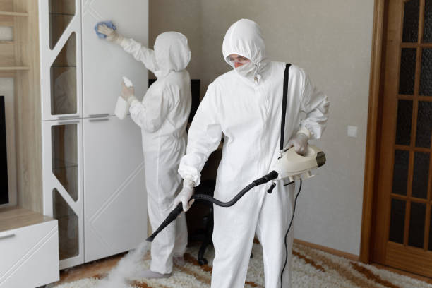 Best Toxic Mold Removal  in Rockford, IL