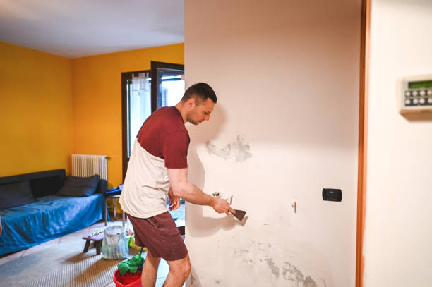 Attic Mold Removal in Rockford, IL
